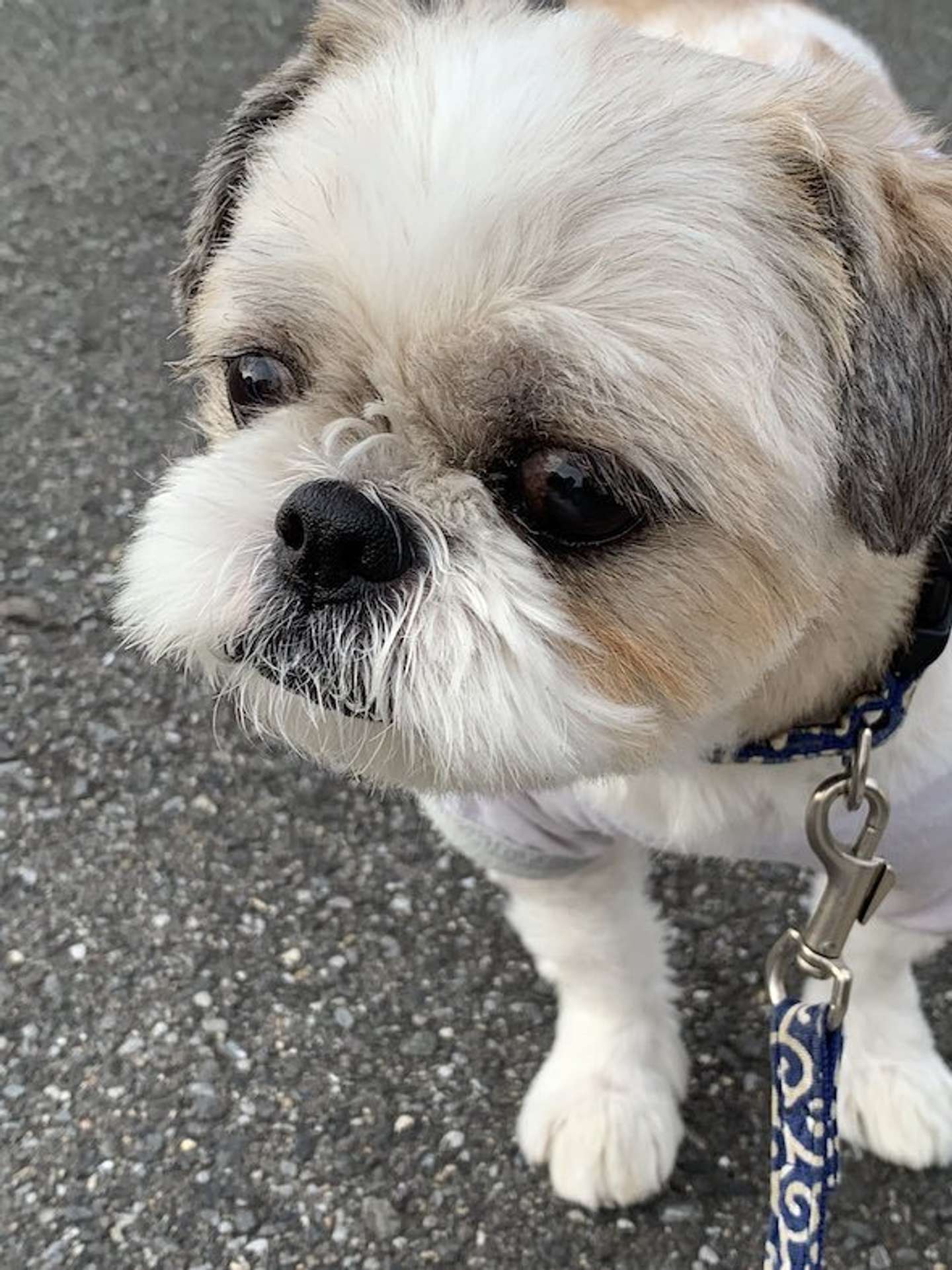 こちらが「天才画伯」（まさひろさんのツイートより）