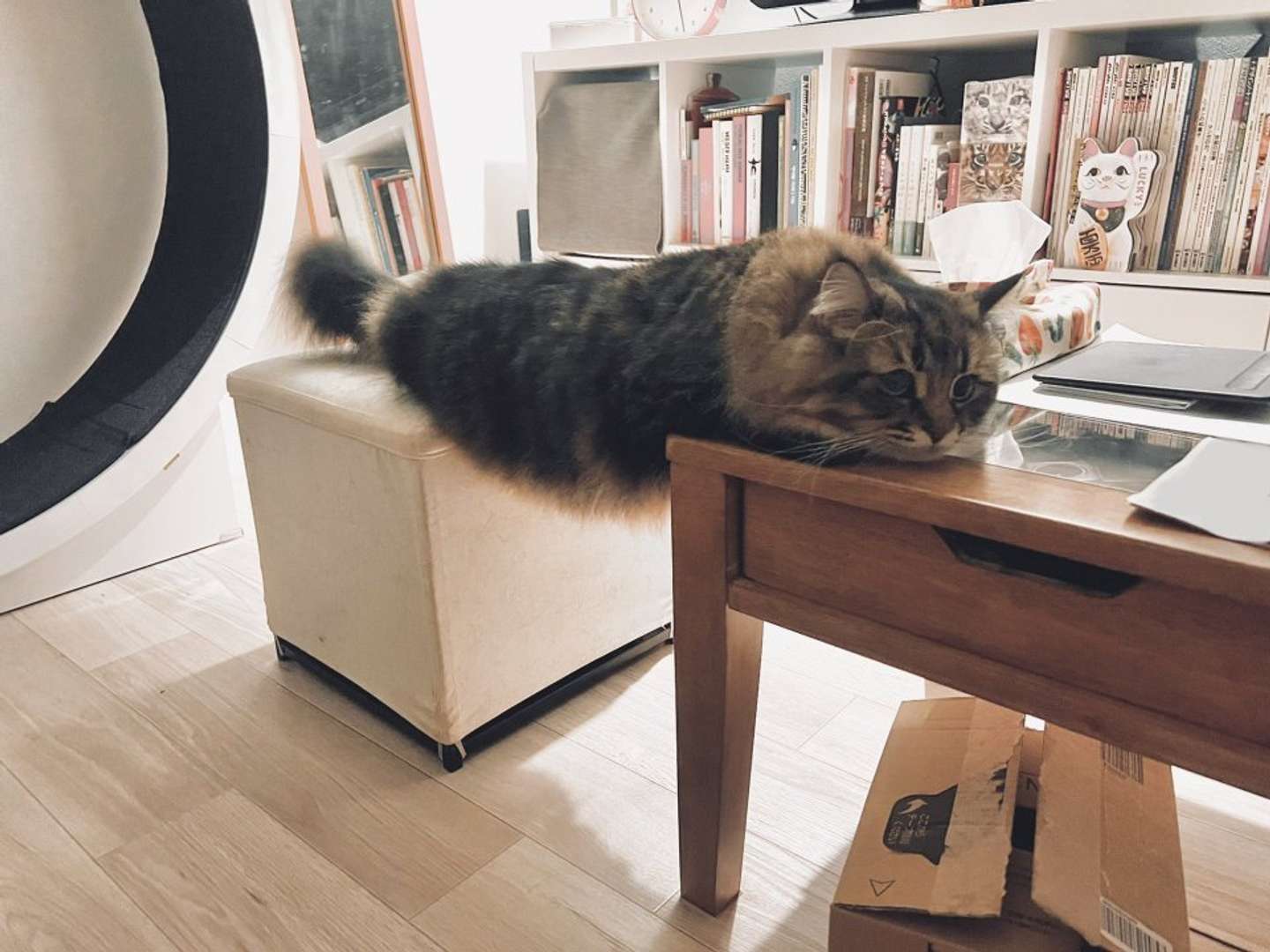 そこまでして！？（画像はヤマネコ＠ymnc_rfさんのツイートより、以下同）