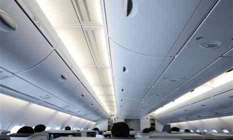 飛行機内でギャン泣きしていた2歳児が突然の沈黙　母親が視線を辿ると、そこには...【旅先いい話】