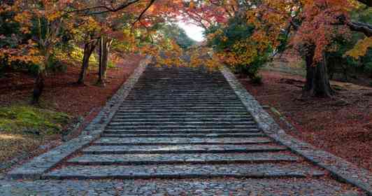「転ぶと来世で猫になる階段」が東大寺にあるらしい　本当なの？寺務所に聞く
