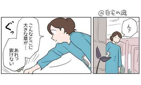 「こんな所に大きな草が...あれ、抜けない？」　庭で見つけた「謎の葉っぱ」、その正体はまさかの...