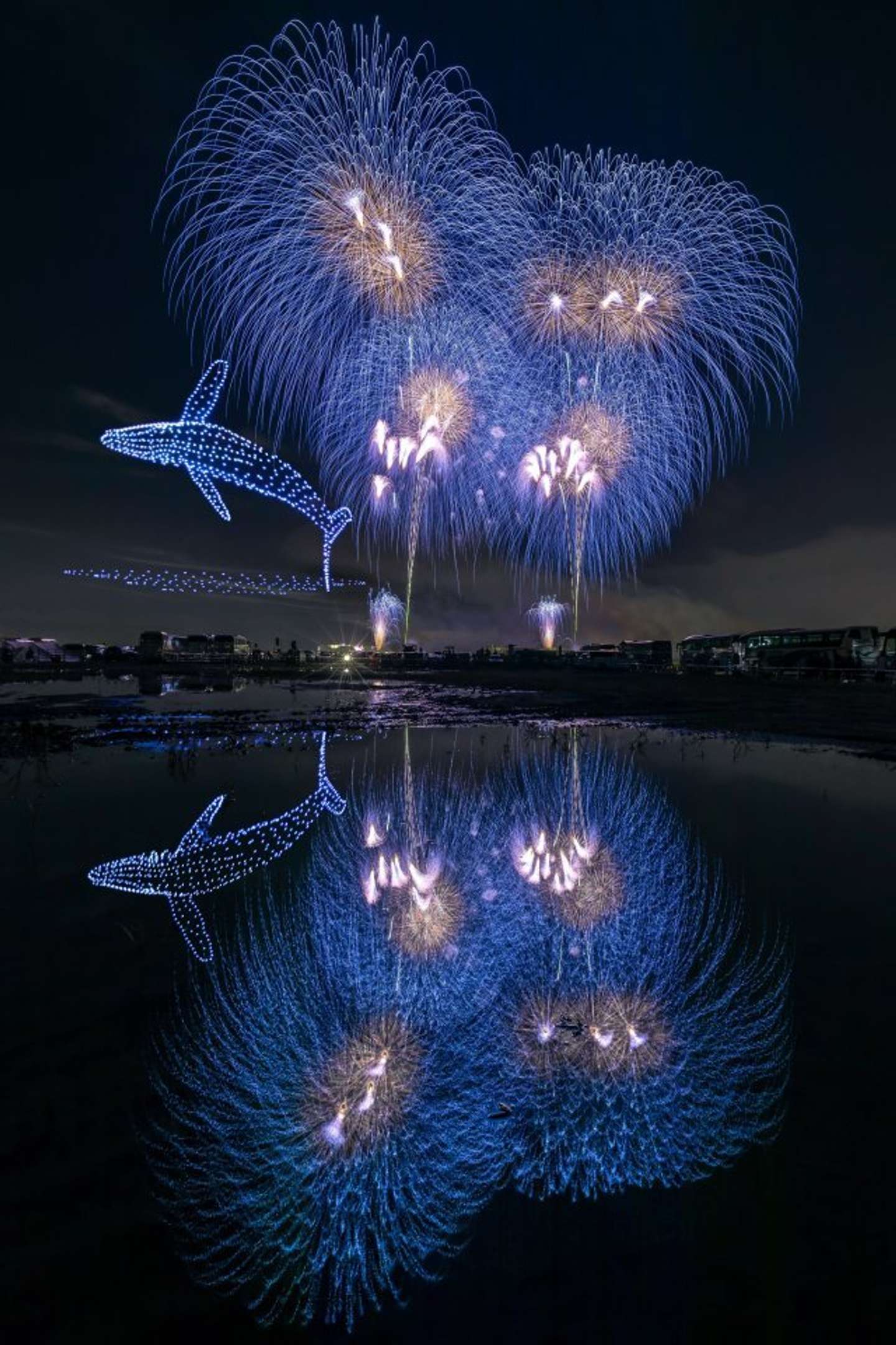 水中を泳いでいるかのようだ（画像は Ryogo・Urataさん＠Ryogo_Urataさん提供）