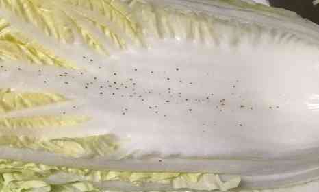 「黒い斑点が出た白菜」を捨てないで！　八百屋の叫びに反響「病気だと思ってた」「切って取除くのやめよう」 