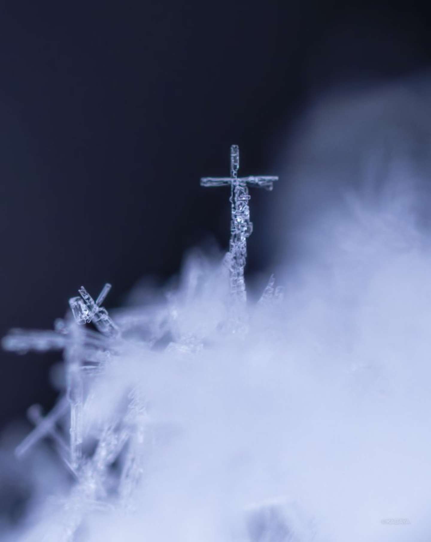 ずっと眺めていたくなる...（画像提供は KAGAYA＠KAGAYA_11949さん）