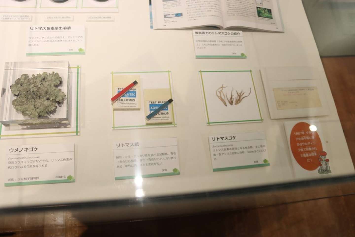 学生の頃、お世話になったリトマス紙。地衣類「リトマスゴケ」から取り出した色素を利用して作ったもの（現在、色素は化学合成）