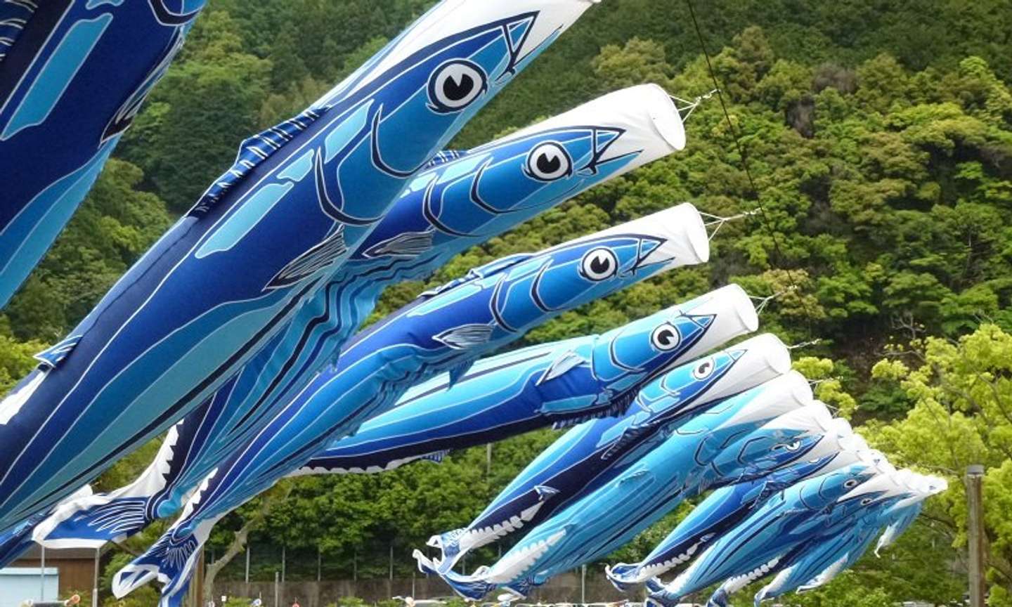 さすが高知】鯉のぼりと一緒に「カツオ」も活躍 黒潮町で5年ぶりに空を