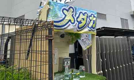 印刷工場の屋上&食堂で「メダカ」育てて売ってます! 職人たちが交代でお世話...一体なぜ?担当者に聞く
