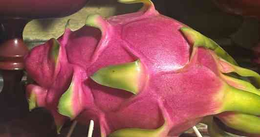 画像は京極（＠kyogoku_camping）さん提供