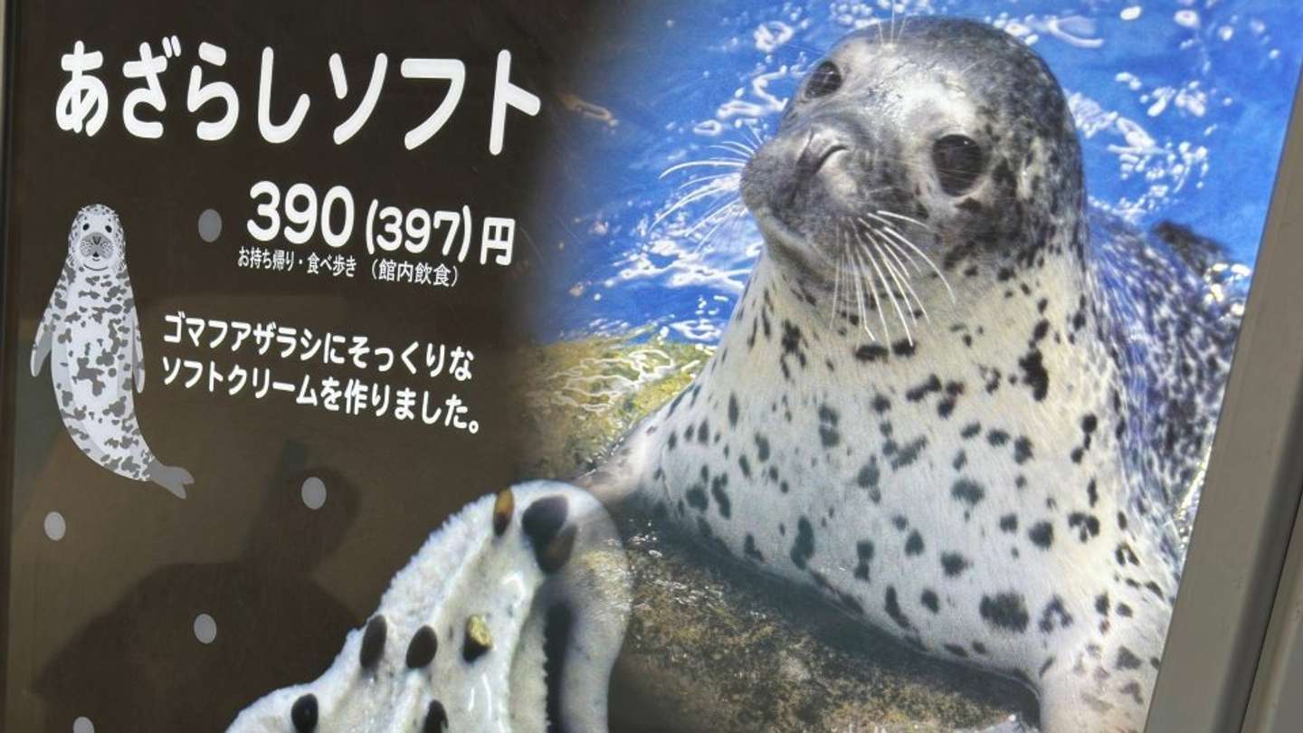 天才？」「企画力高い」 新江ノ島水族館「あざらしソフト」が可愛すぎ