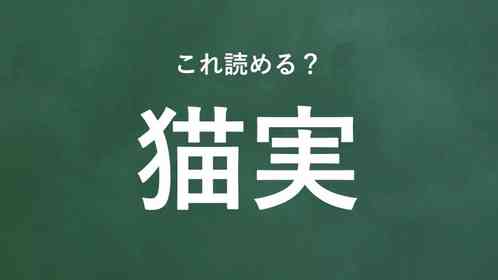「猫実」←この地名なんて読む?