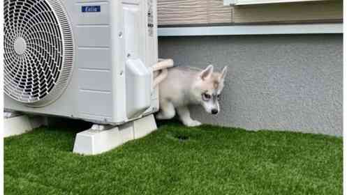 骨折（＠kossetukinpatu）さんの投稿より