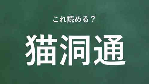「猫洞通」←この地名なんて読む?