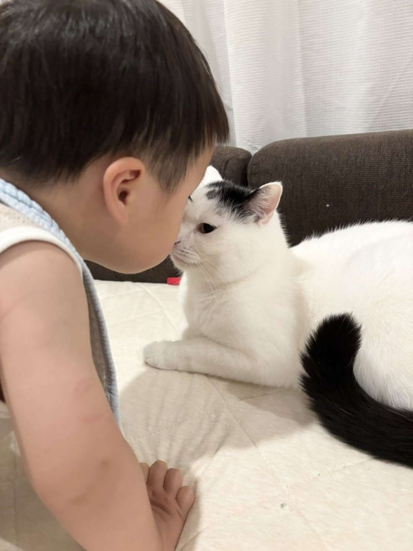 仲良しなふたり（画像はまつもとたける（＠takeru0321neko）さん提供）