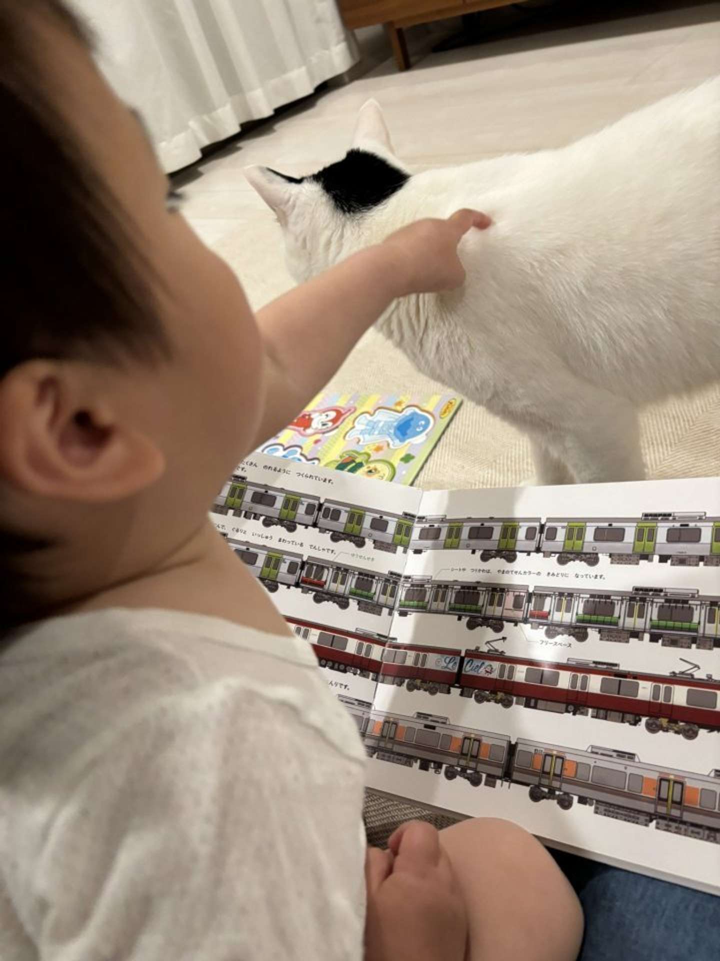 一緒に読もうよ（画像はまつもとたける（＠takeru0321neko）さん提供）
