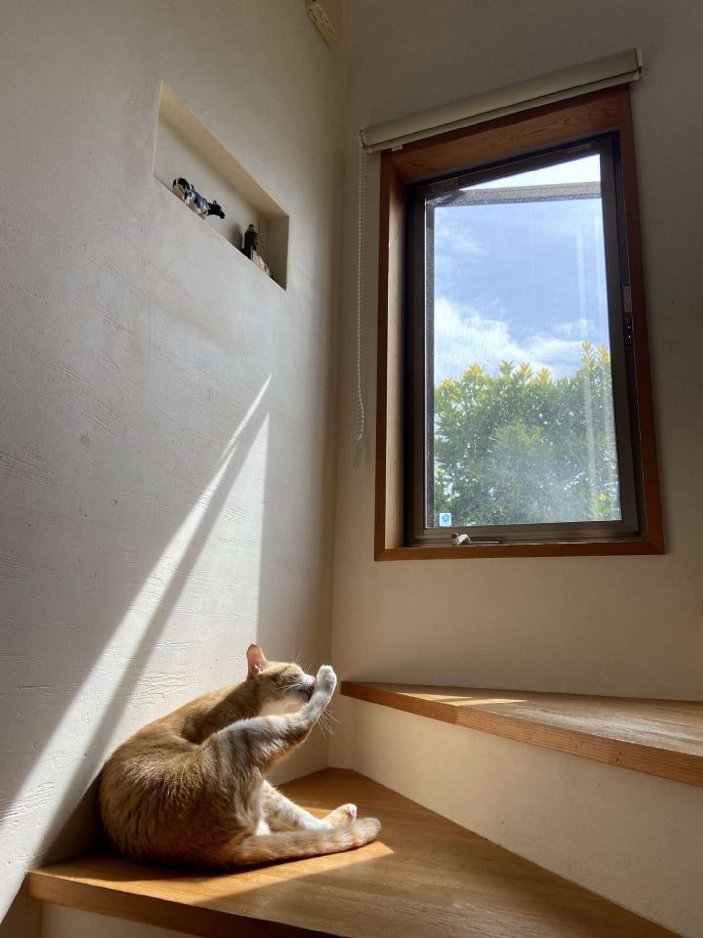 階段の途中で（画像提供：永野さん）