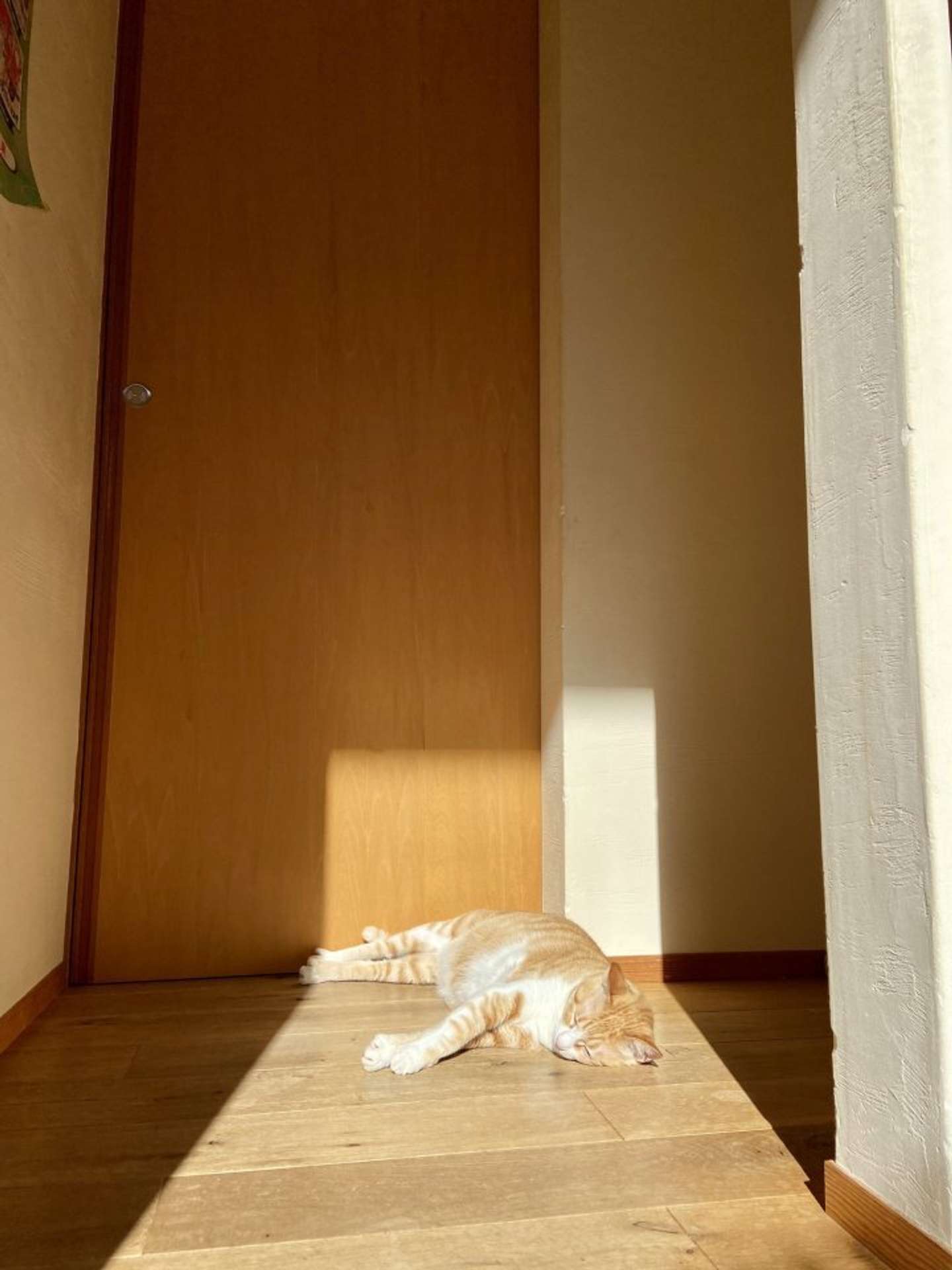 廊下の真ん中で（画像提供：永野さん）