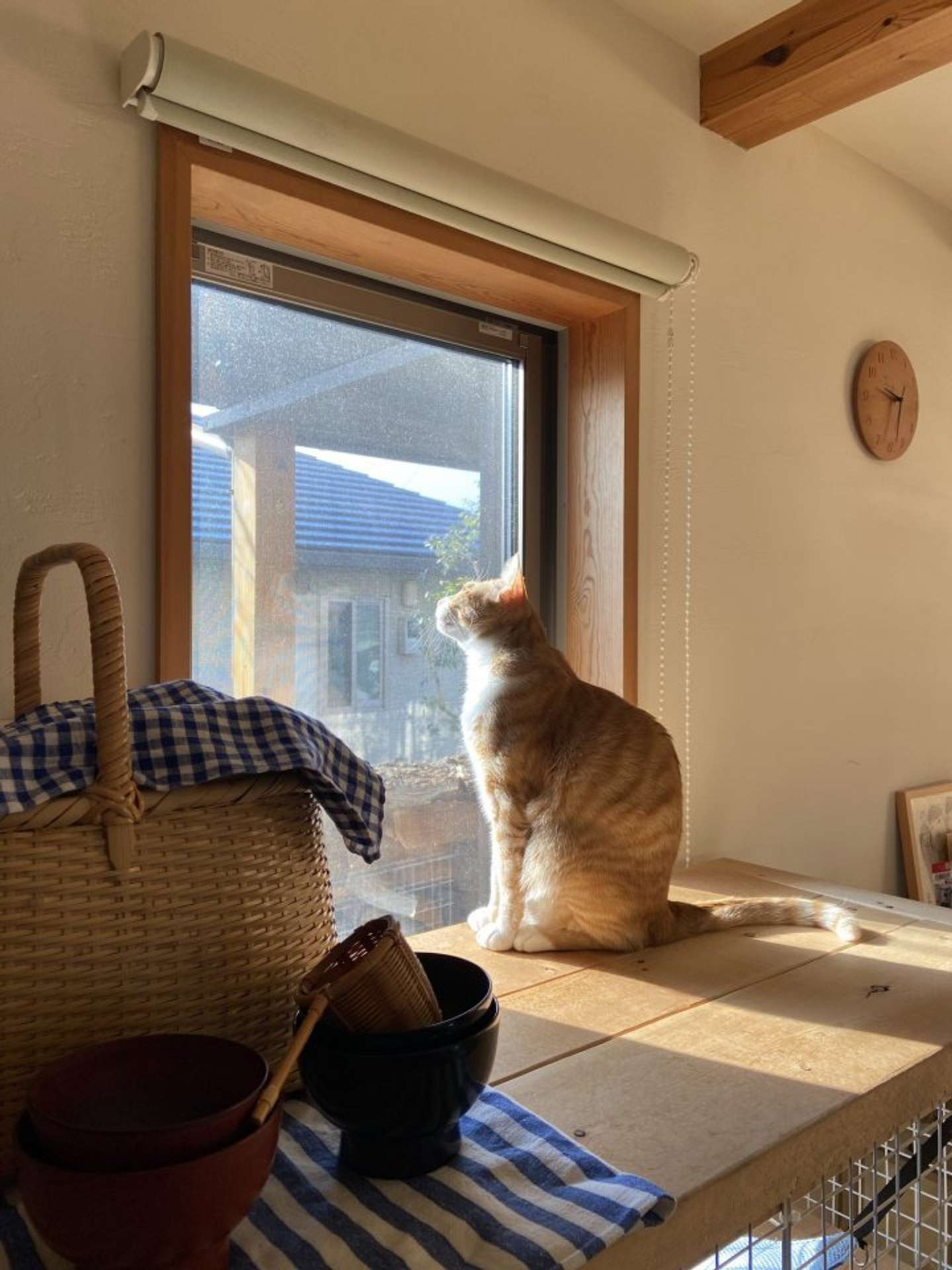 何を見てるのかな？（画像提供：永野さん）