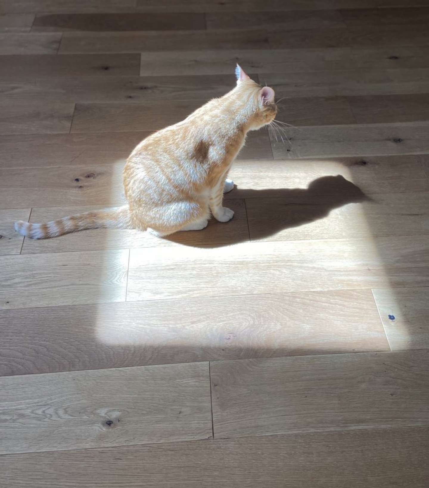 やっぱりここが一番？（画像提供：永野さん）