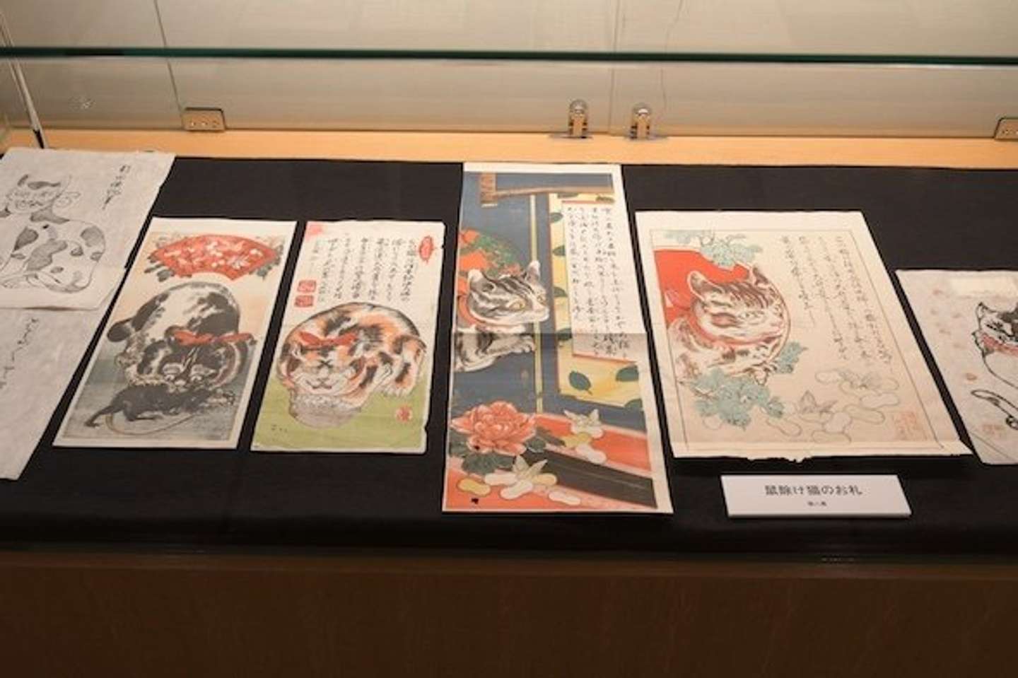 鼠除け　猫のお札（画像提供：村田町歴史みらい館・石黒伸一朗館長）