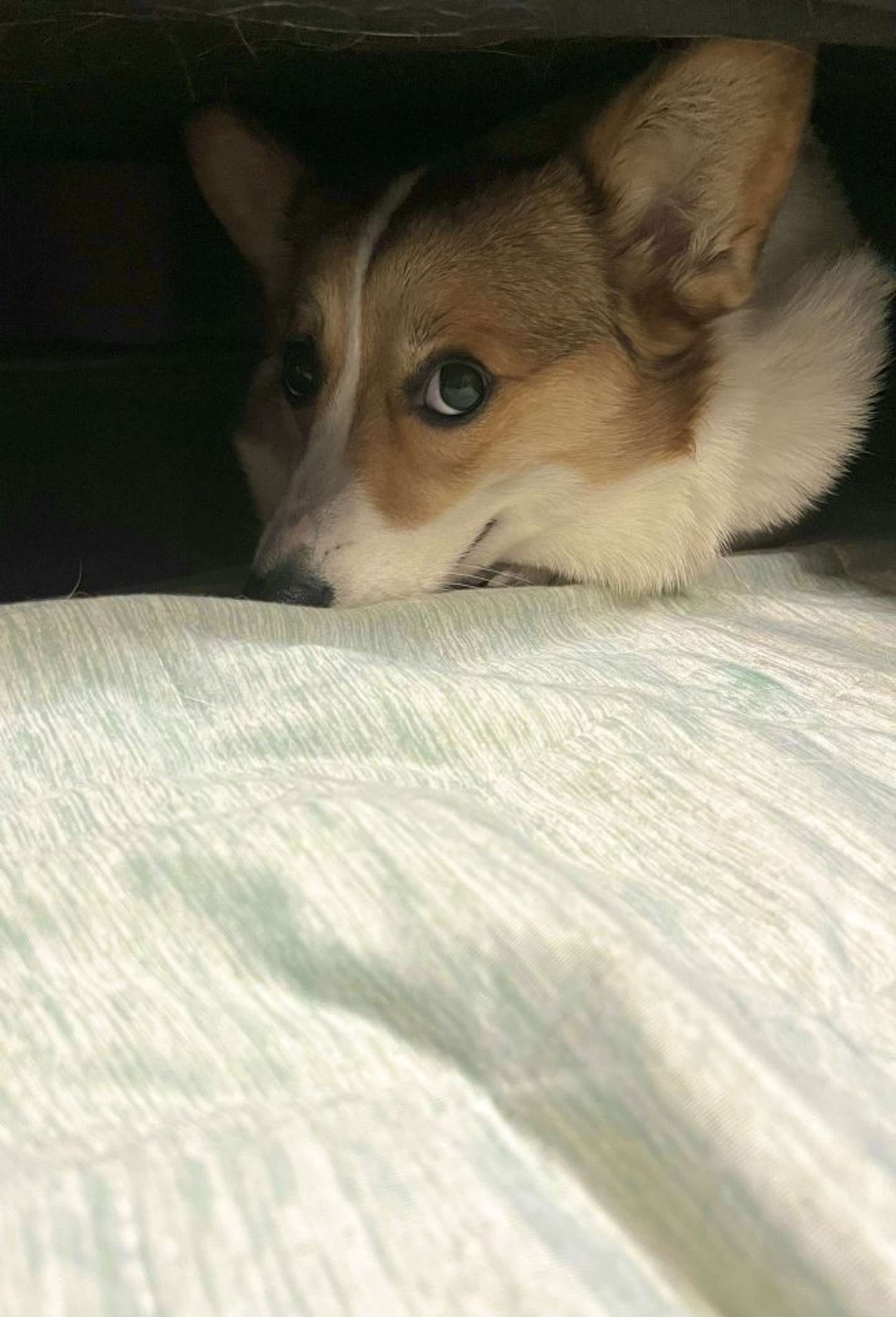 許せないヤツも…いる…（画像提供：sue3（＠sue3_sue2）さん）