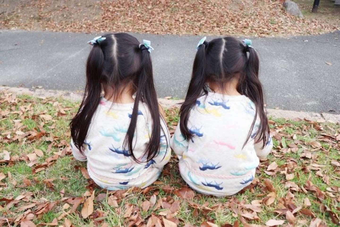 双子とはどんなものかしら?(画像はphotoACより)