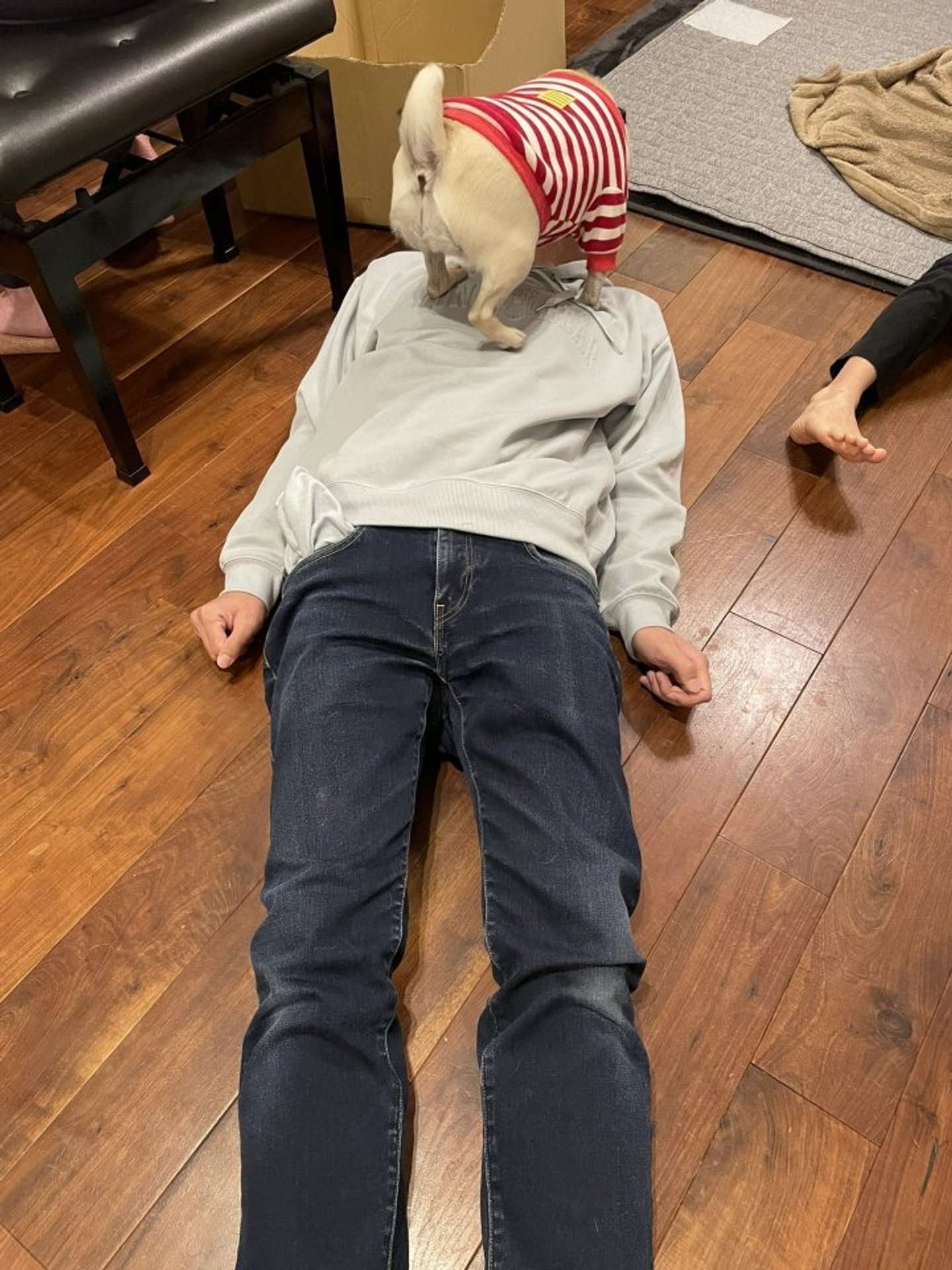 日課のお出迎え（画像提供：KaKoA（＠KaKoA90764576）さん）