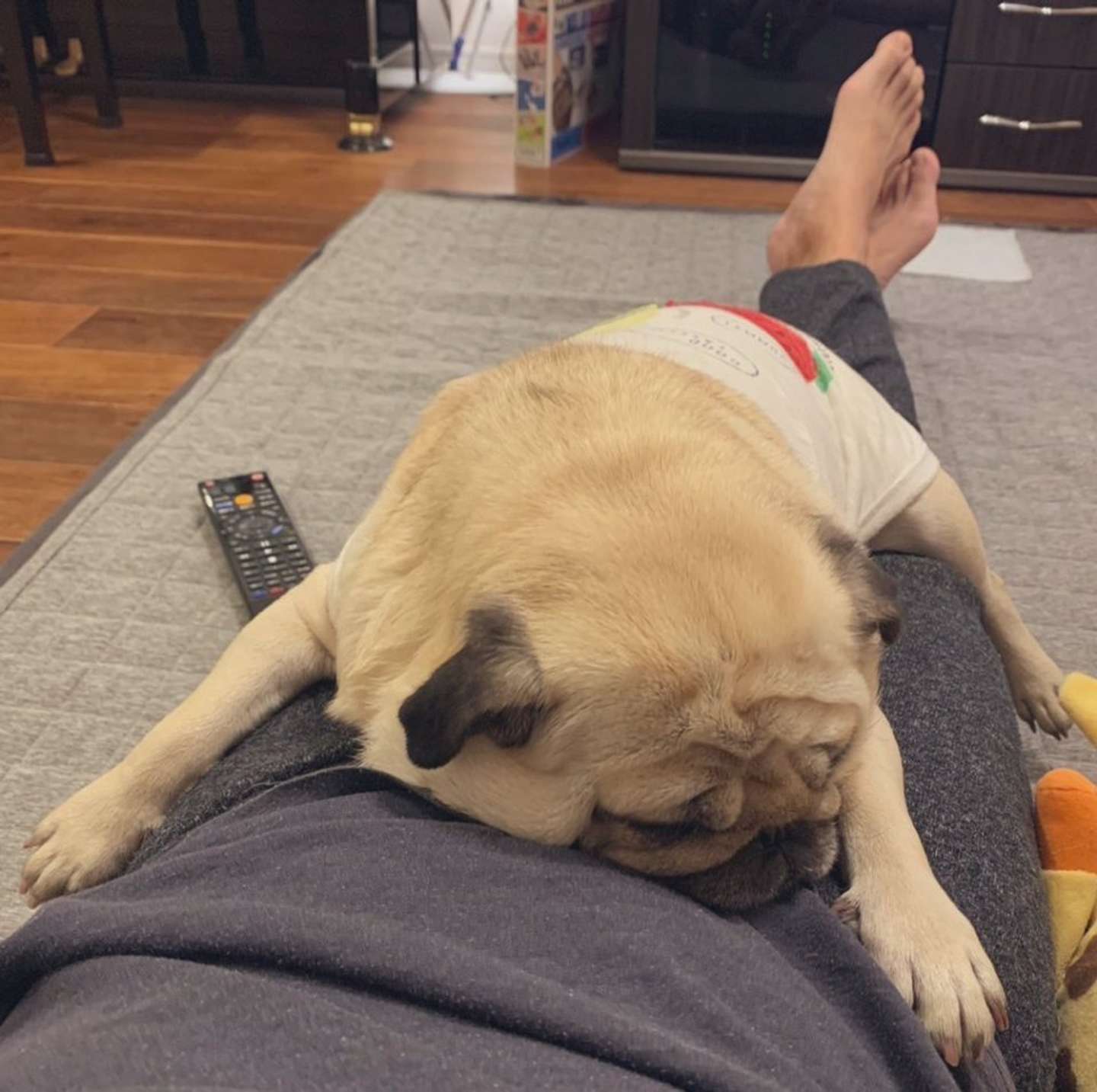 パパの上、だいすき！（画像提供：KaKoA（＠KaKoA90764576）さん）