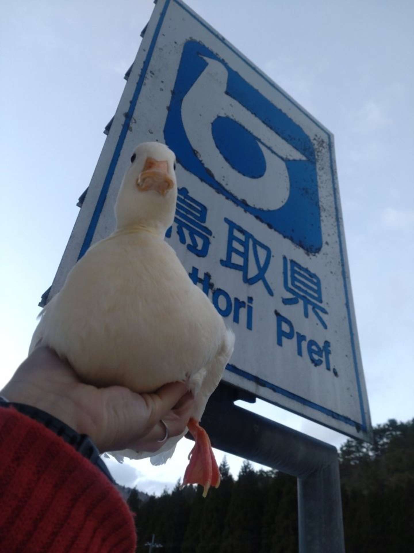 鳥取県とも撮り（画像は＠64pan_4rasuさんの投稿より）