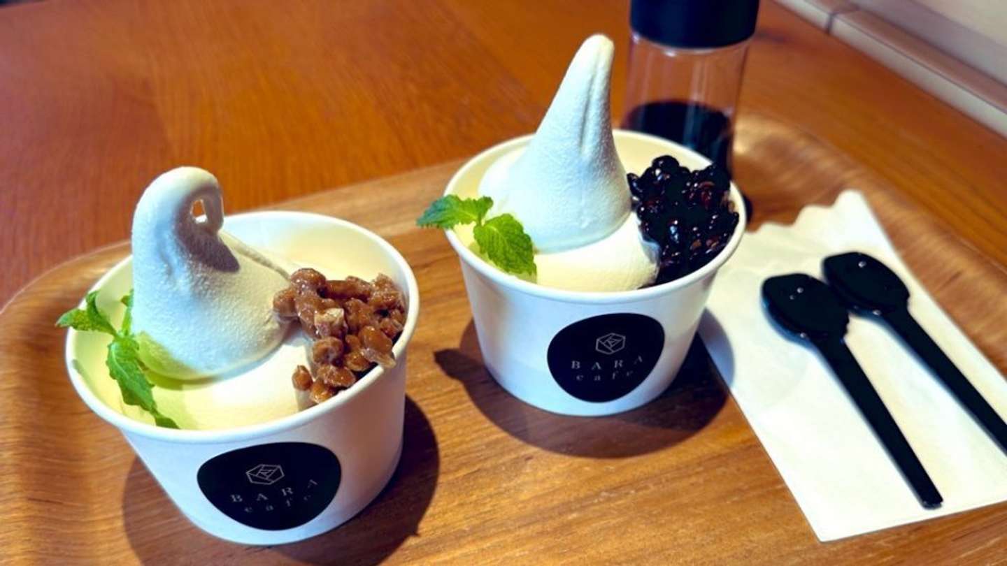 編集部撮影