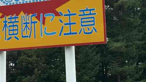 「さすが北海道」としか言えない 同じ場所に立つ〝横断注意看板〟2種に1.7万人驚がく「野生のおるんやな」