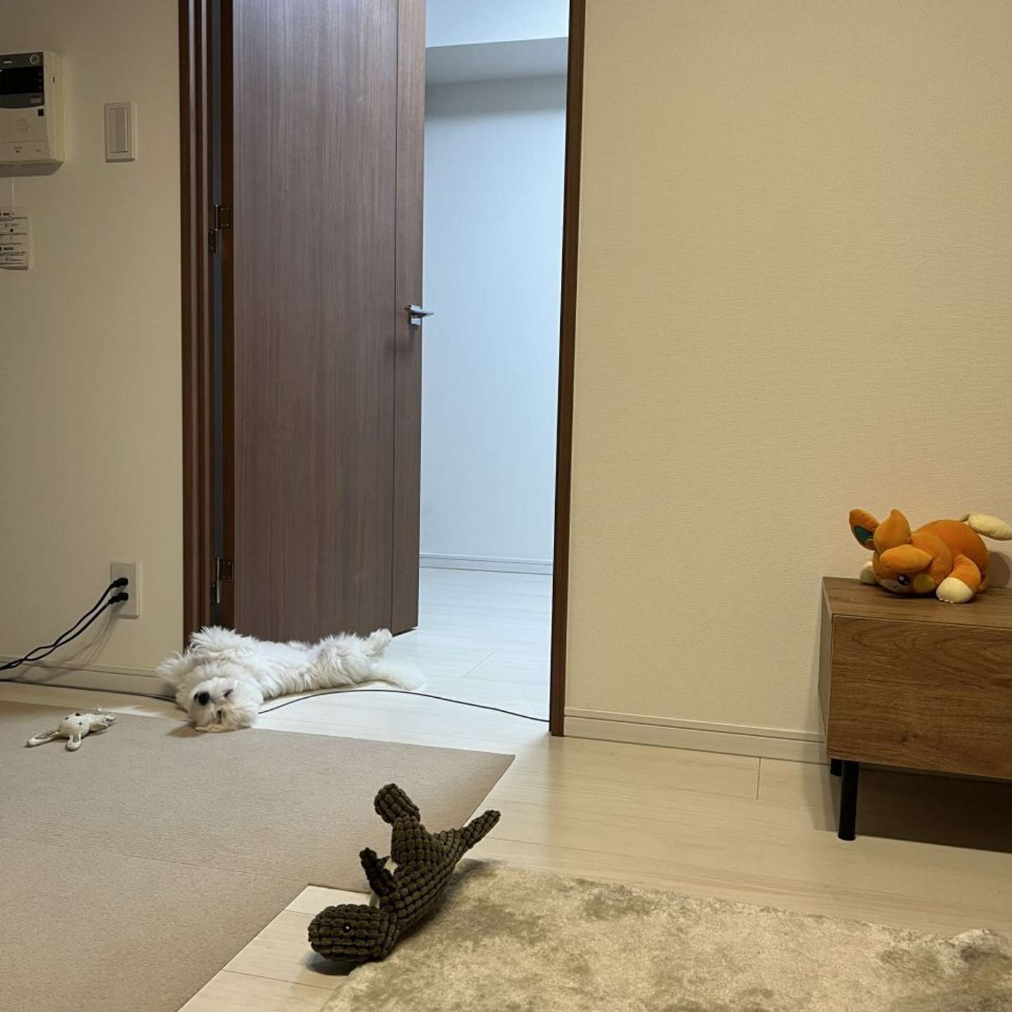 充電切れ？（画像提供：きなり（＠_kinarinari）さん）