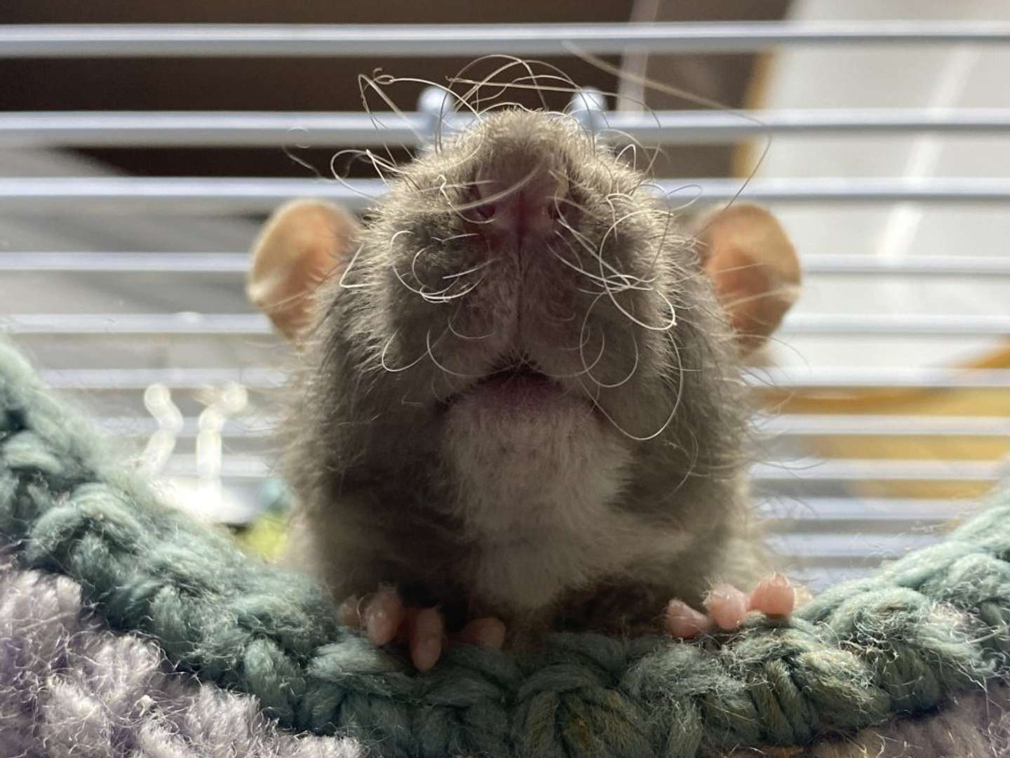 下からのアングル（画像提供：おでんさん）