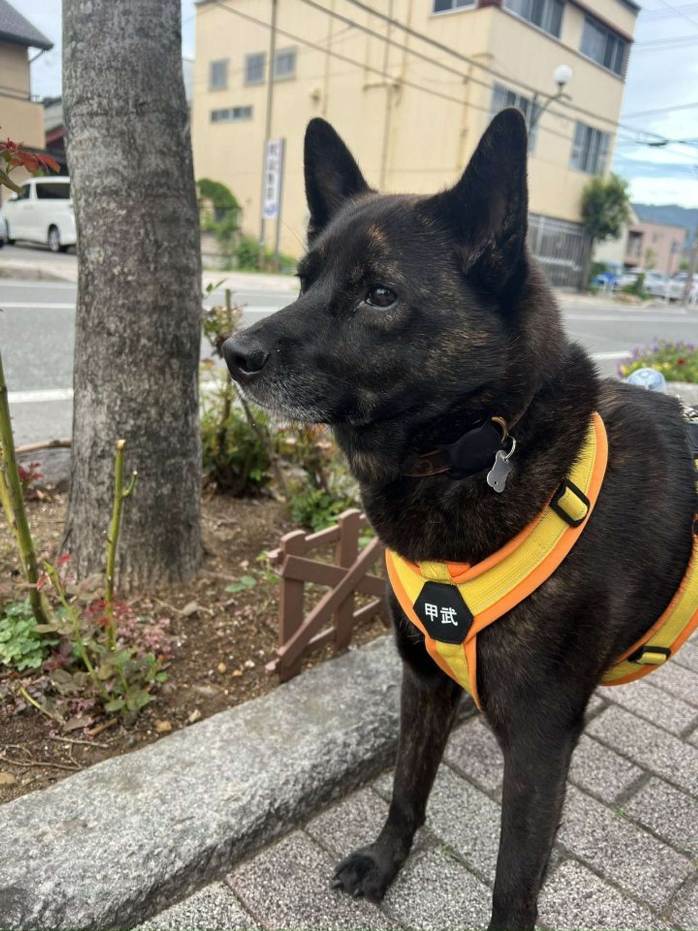 ＠osara3osara3さんの投稿より