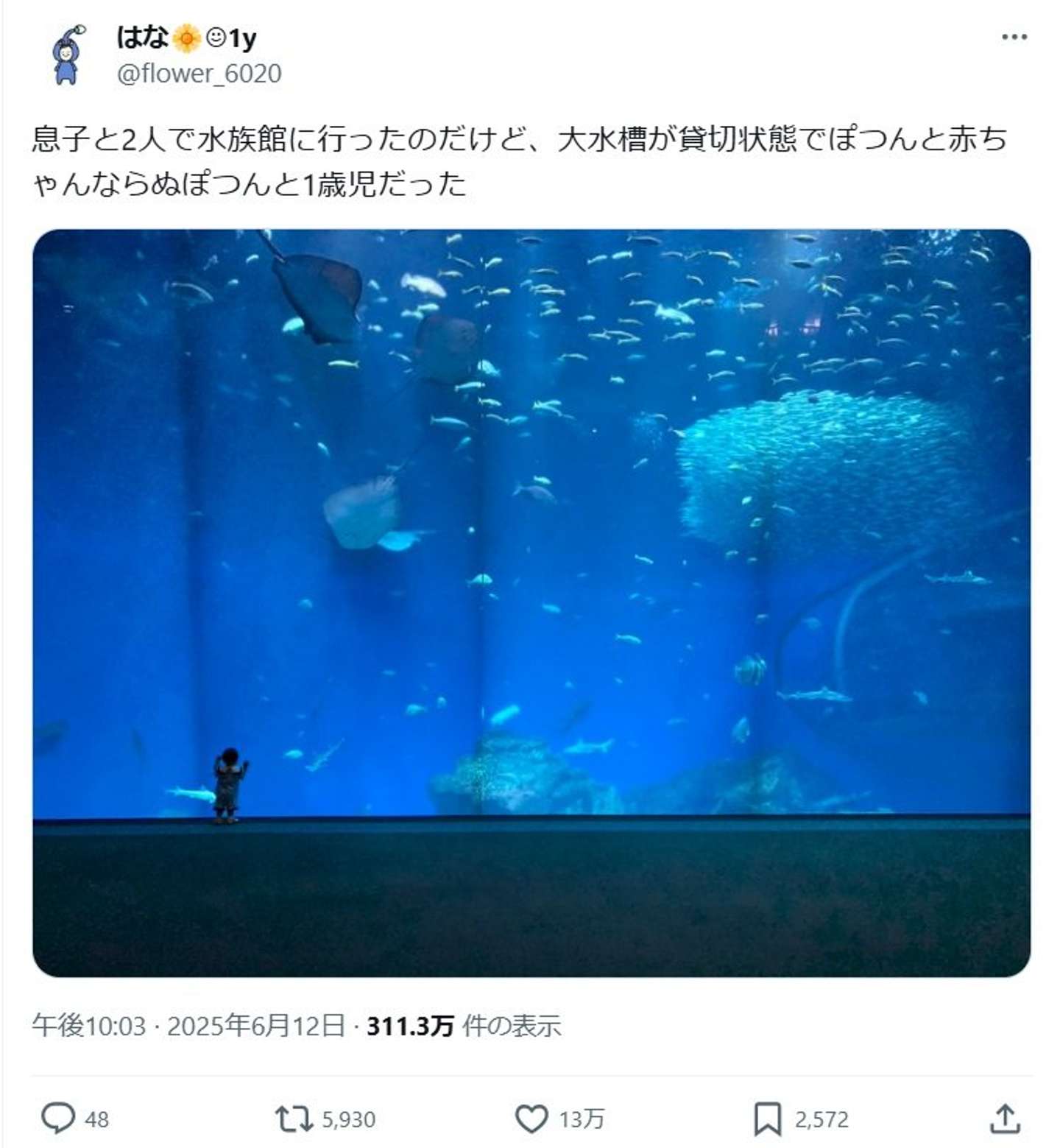 はなさん（＠flower_6020）の投稿より