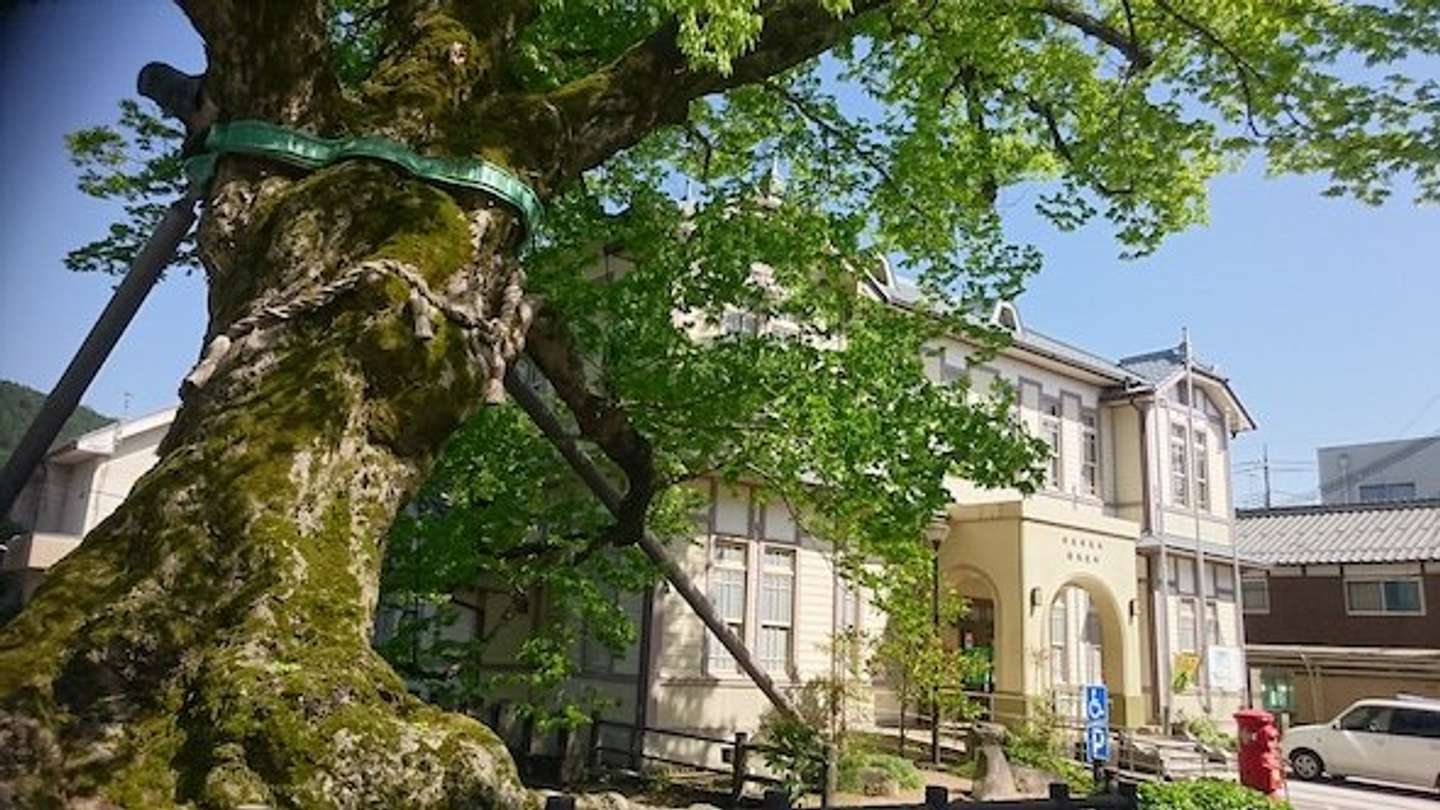 木の根橋（柏原の大ケヤキ）