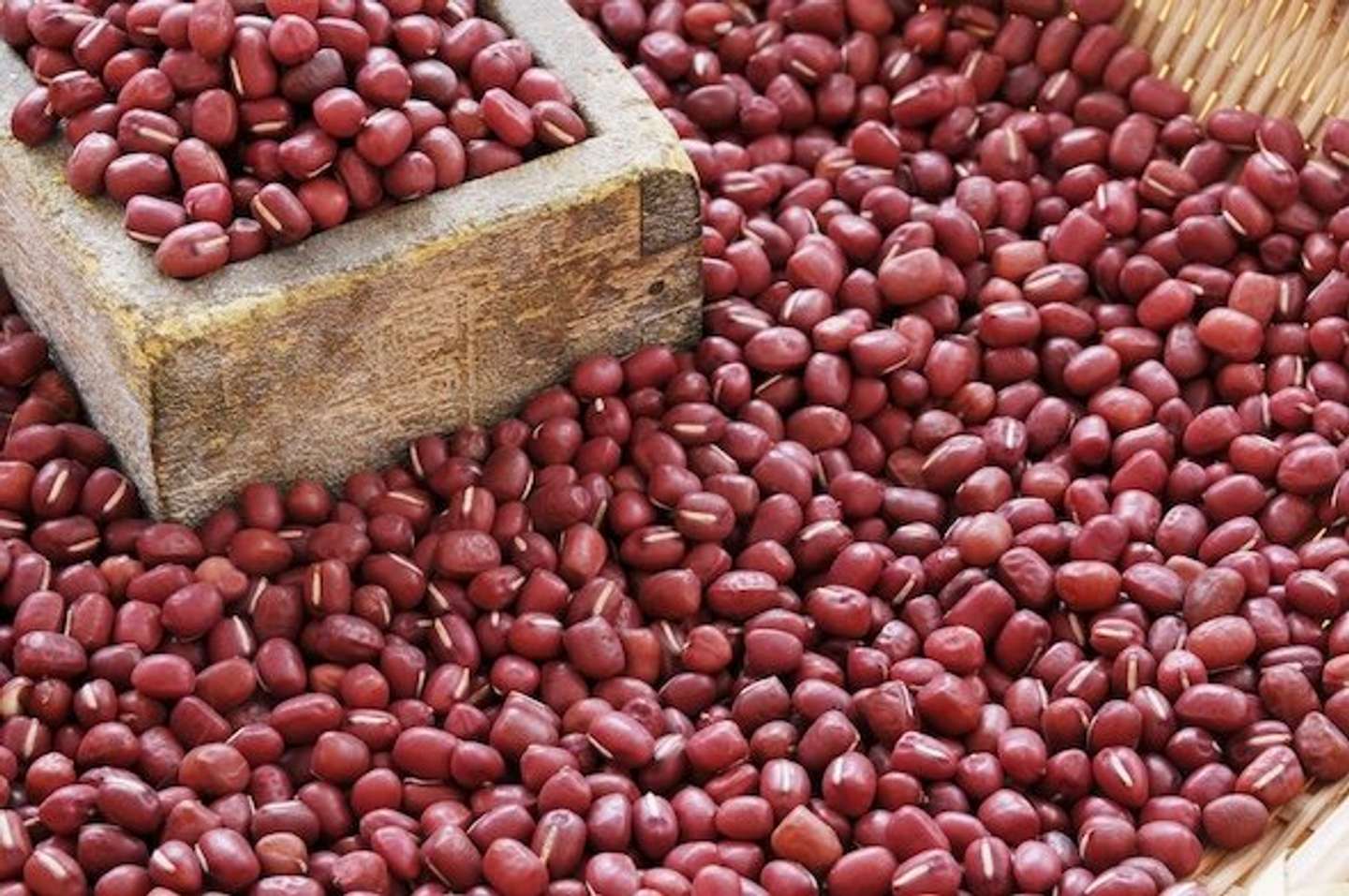 丹波大納言小豆