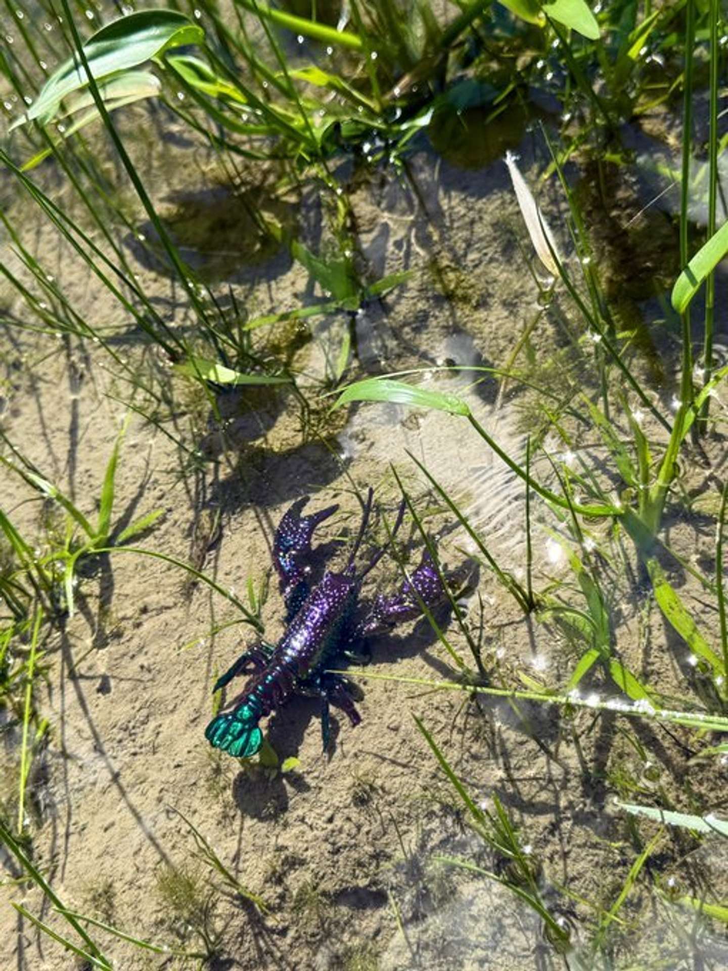 画像提供：simanto工房（＠simantokoubou）