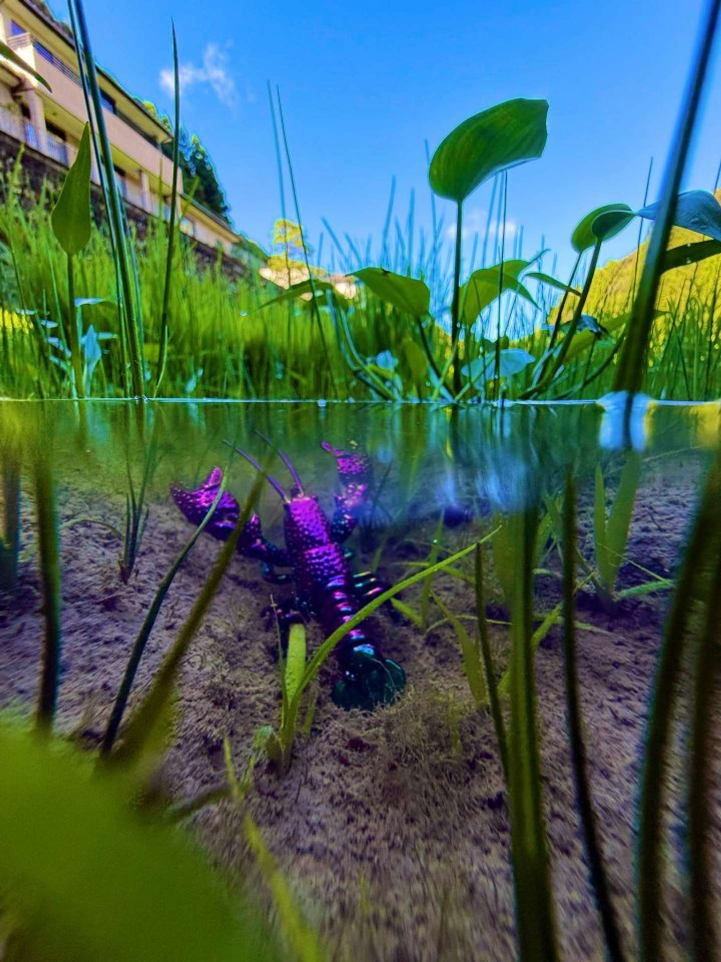 画像提供：simanto工房（＠simantokoubou）