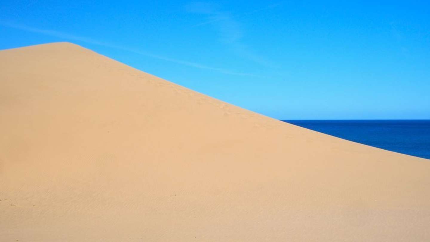 これは、写真です（画像はcell＠irodorist_mさんの投稿より）