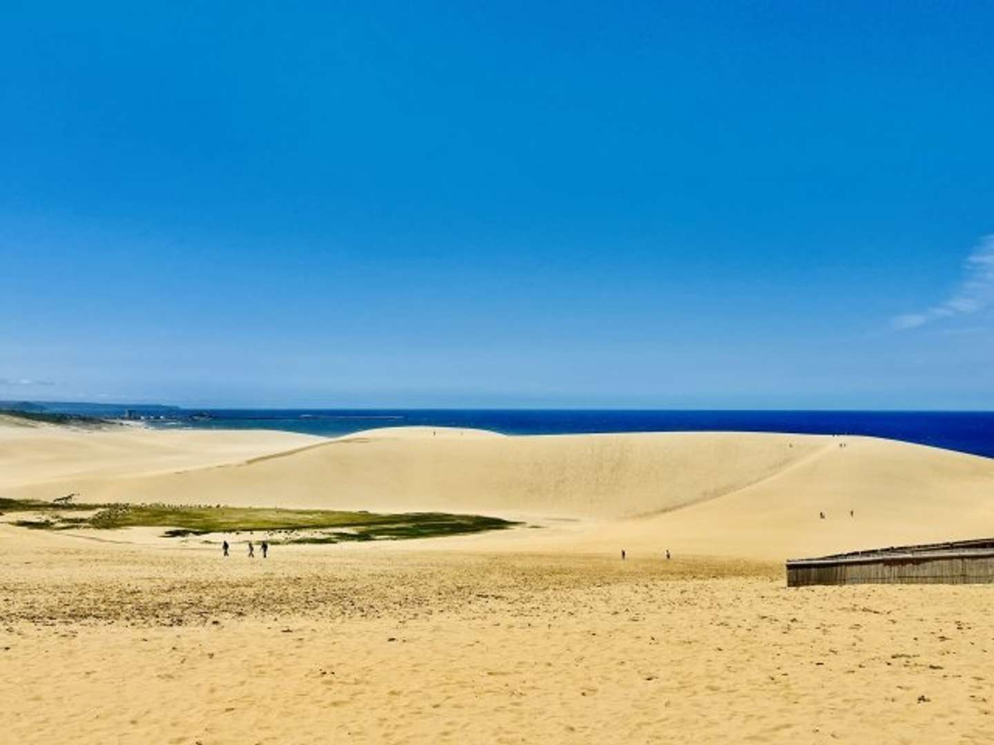 鳥取砂丘（photoACより）