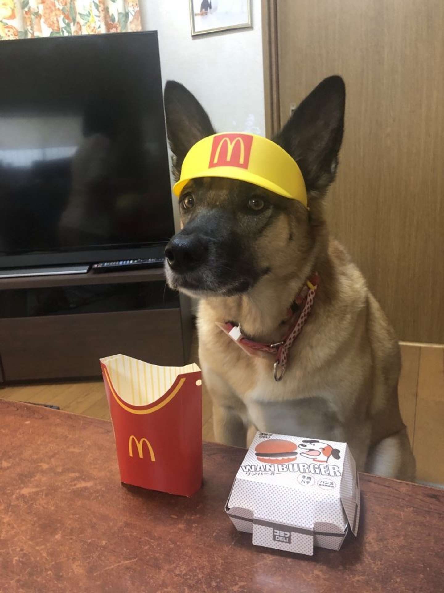 ご注文の品、こちらでよろしいでしょうか！（画像はわんぱくスパイク＠spikeup_memoryさんの投稿より）