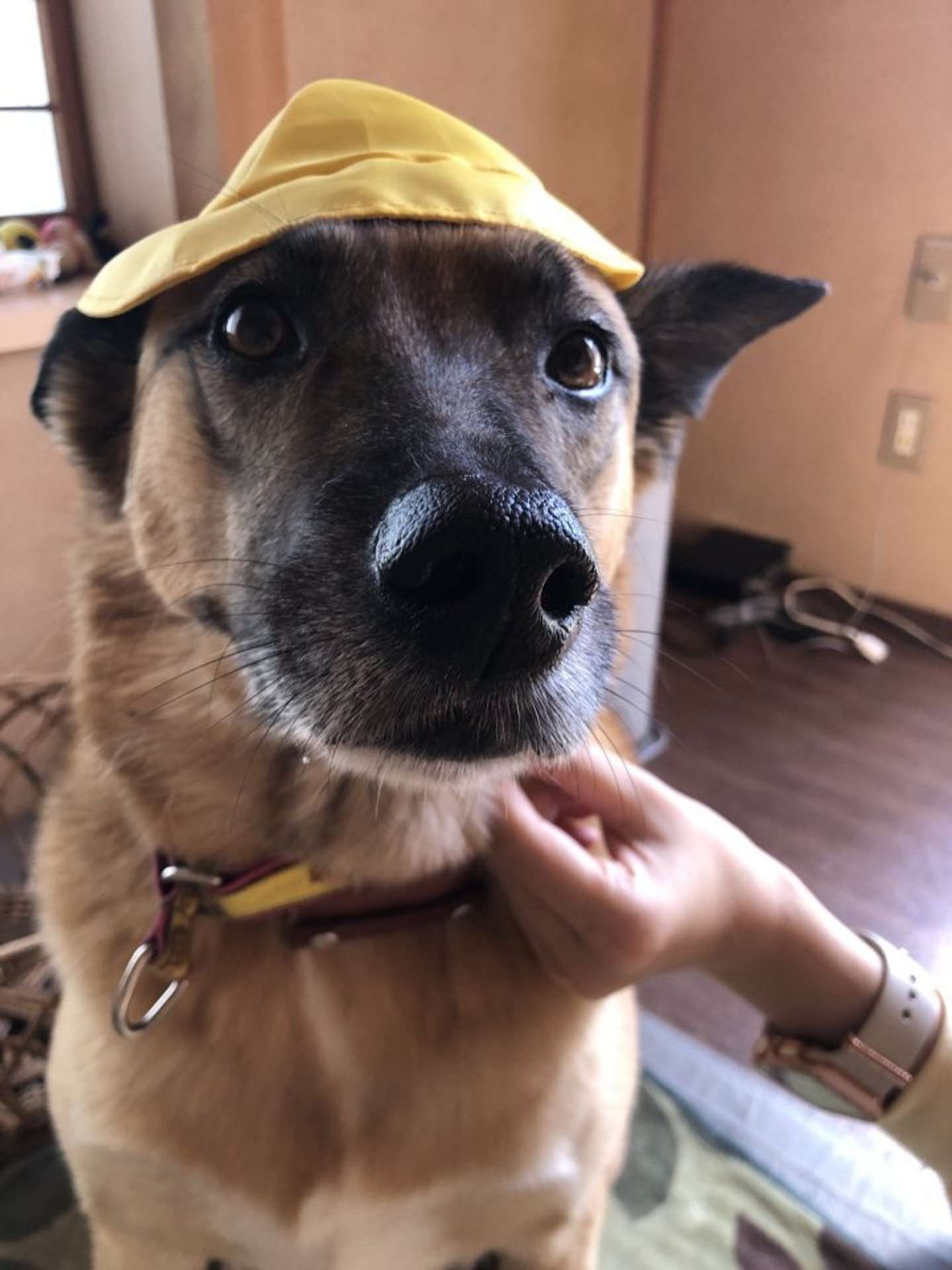 よくコスプレをしていたスパイクさん（＠spikeup_memoryさん）