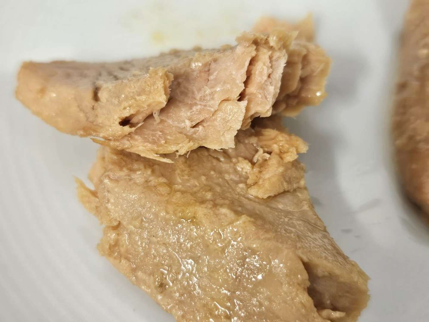 宝永の断面（画像は編集部撮影）