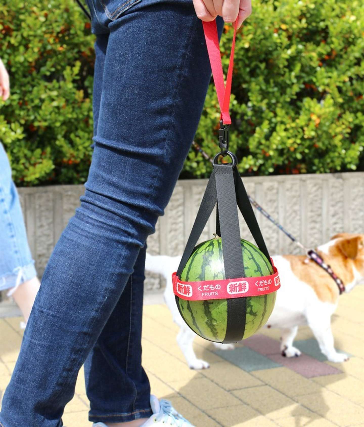 何...？（画像はターリンカプセルコレクション公式Xより）