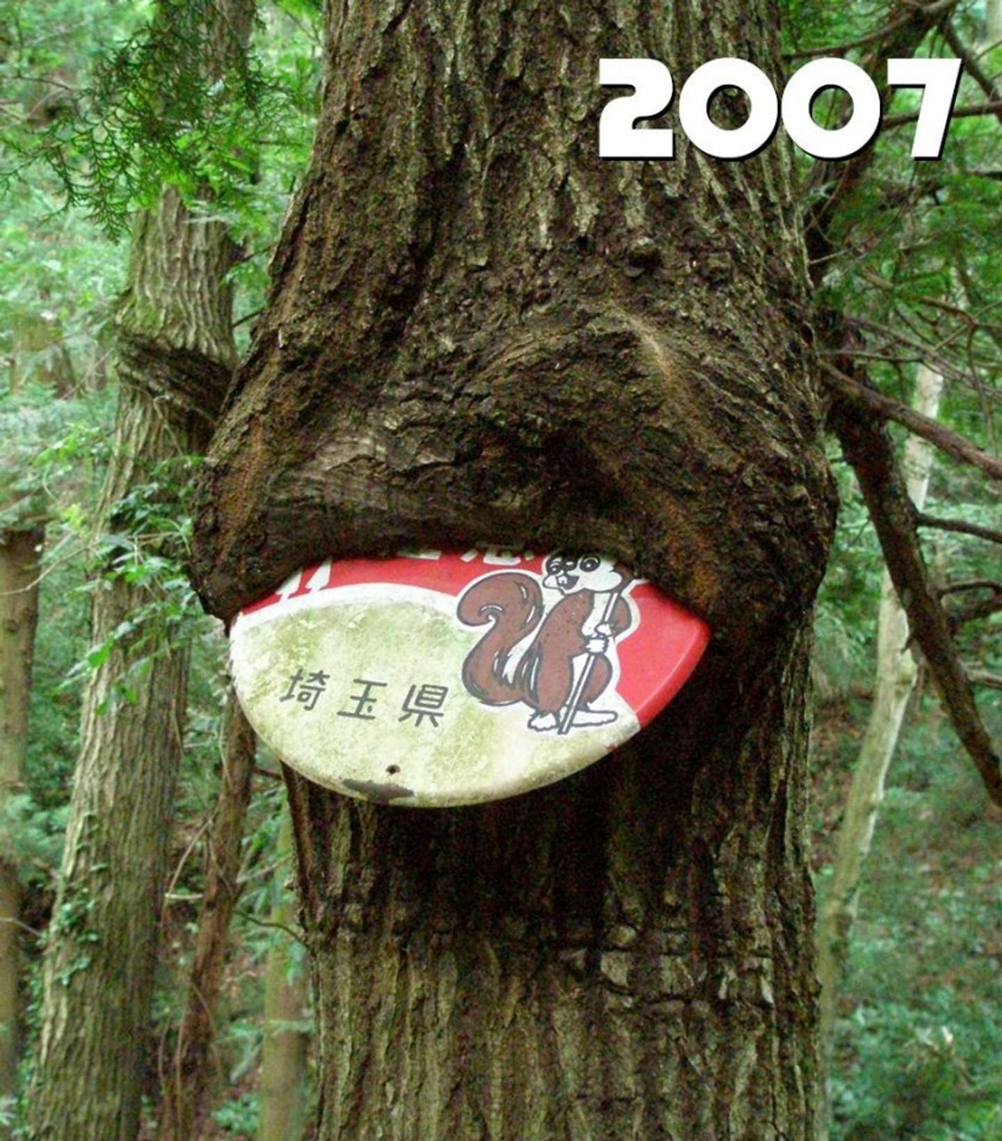 2007年の状態（画像はナノレカワ＠nanorekawaさんの投稿より、編集部で分割）