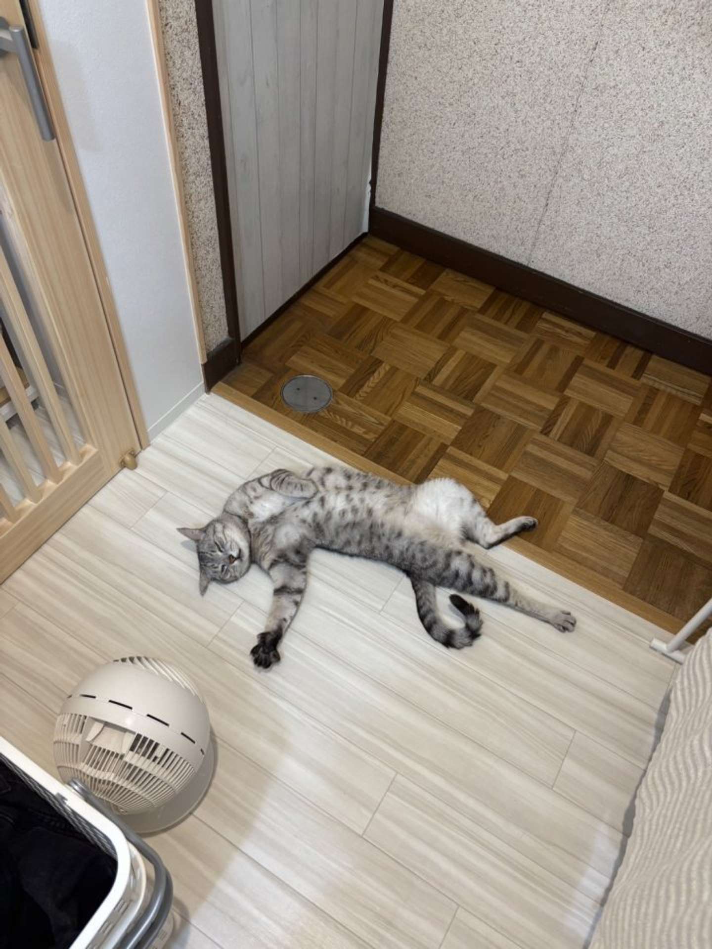 画像はしじみとん＠shijimitonさんの投稿より、再掲