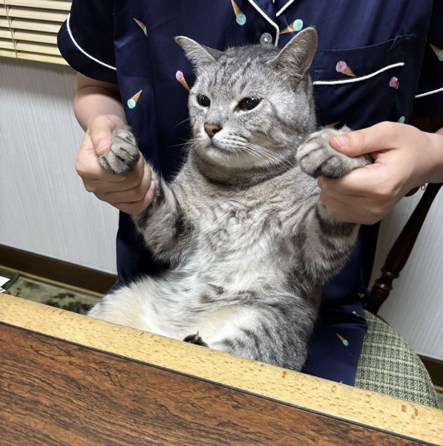 おっとりさんです（画像は＠shijimitonさんの投稿より）