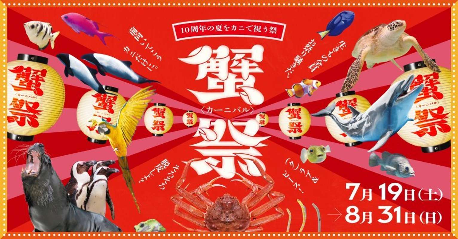 画像はプレスリリースより