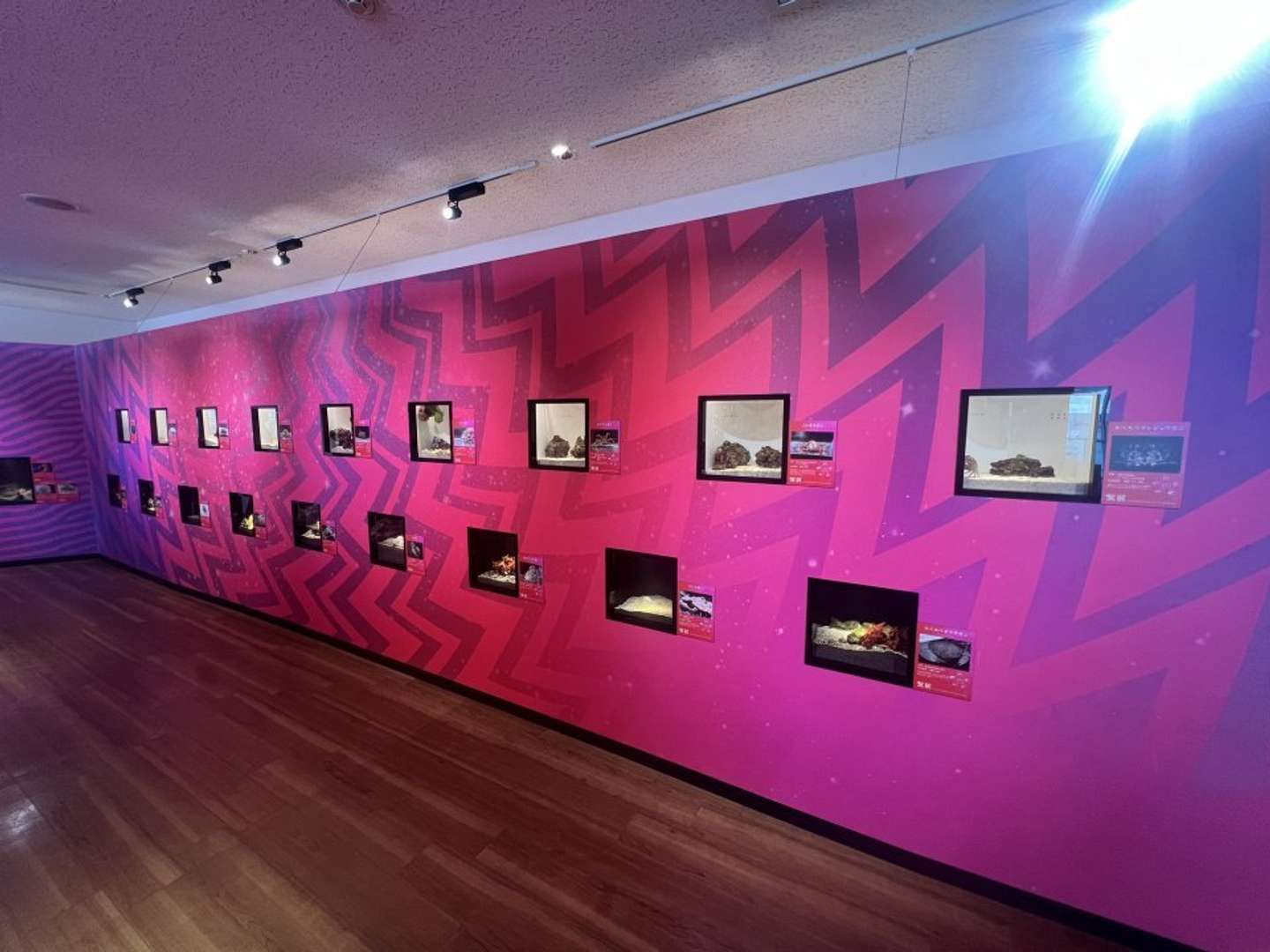 カニの生体展示（画像は仙台うみの杜水族館公式Xアカウントより）