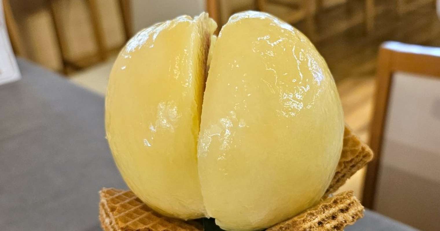 画像は編集部撮影